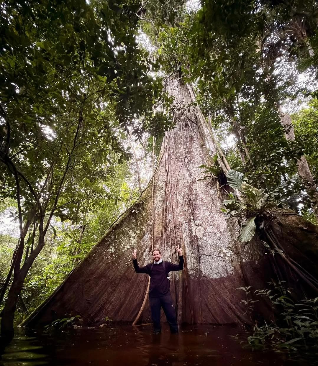 The Ceiba: The Sacred Giant of the Amazon