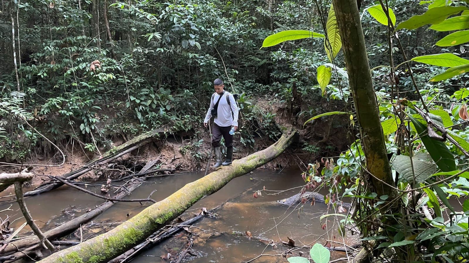 Amazon High and Primary Rainforest: the living heart of Puerto Nariño